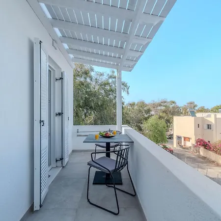 Eucalyptus * Mesaria