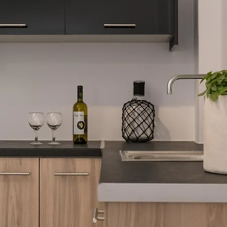 Eucalyptus Apartament Mesaria