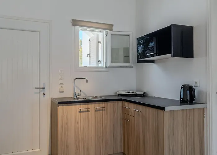 Eucalyptus Apartment Messaria (Santorini)