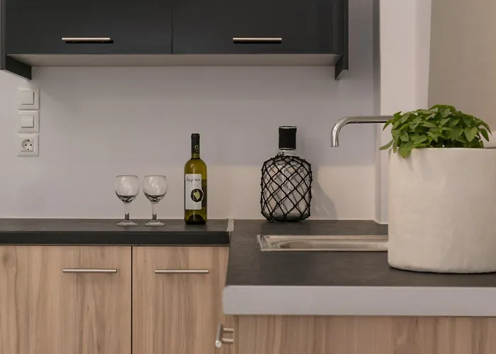 Eucalyptus Apartment Messaria (Santorini)