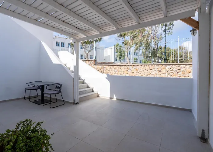 Eucalyptus * Mesaria